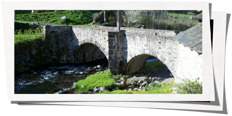 Living Bridge Languages
